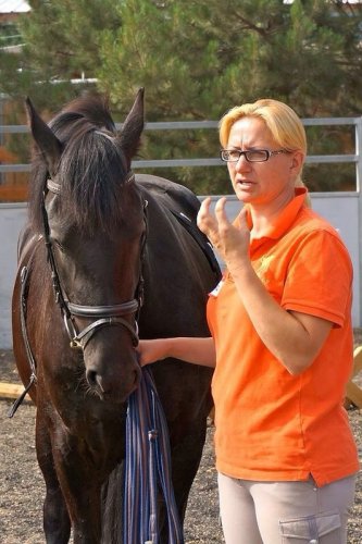 Longeer clinic Nevada USA